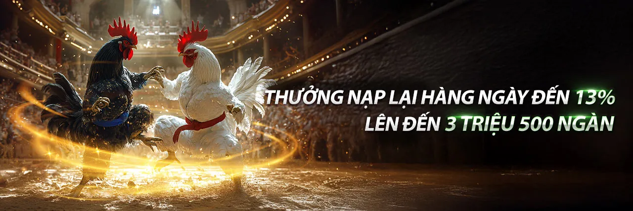 Đá Gà Trực Tuyến 88nn khuyến mãi 2026